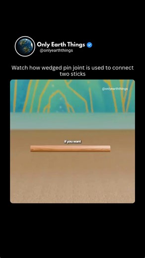 Only Earth Things on Instagram: "The wedged pin joint connects two sticks by inserting a pin through aligned holes and securing it with a small wedge, locking the pieces tightly together. This simple yet strong method has been used for centuries in carpentry and ancient machinery, showing how clever mechanics can turn wood into durable structures. #Woodworking #AncientEngineering #WedgedPinJoint #DidYouKnow #HistoryFacts #FYP #Principle888 #explore"