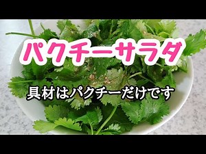 【手作り】簡単に出来るパクチーサラダとドレッシング🍀