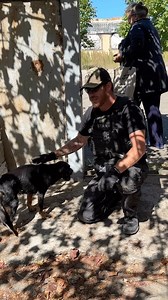2.5K views · 314 reactions | Animals are starving….. The suffering is not going away and with each day that passes the need gets greater. This is just one horrific story of what animals are going through in the conflict areas of Ukraine. Please continue to show the animals of Ukraine your support…. https://breakingthechainsinternational.org/donations/ #dog #dogsofinstagram #dogs #rescue #animalrescue #animalrescuer #ukraine #starving #suffering | Breaking The Chains | Facebook