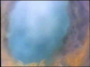 Love Survives (Dutch version)