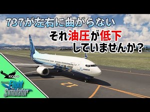 PMDG 737 のメンテンス方法【MSFS 2020 :共通】