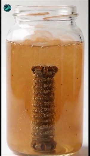 Rusty Screw Cleaning Itself in Water 🔩 | Mesmerizing Rust Dissolve #shorts