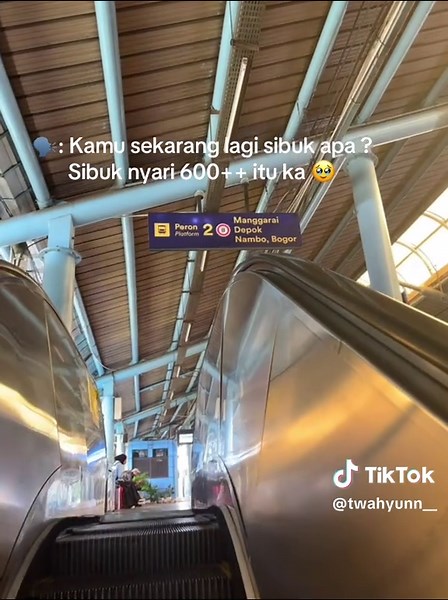 Affiliate Marketing for Beginners: TikTok Affiliate Guide