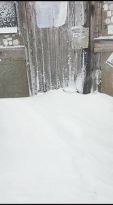 604K views · 10K reactions | 5 agosto: neve in Marmolada. Il video di Carlo Budel, gestore del rifugio a Punta Penia. | TG Veneto | Facebook