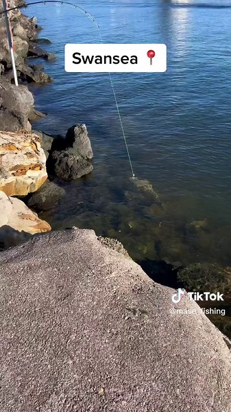 Mase_Fishing on TikTok