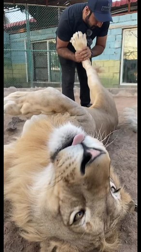 حسابات مقترحة