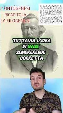 Ontogeny recapitulates phylogeny #biology #science #development #evolution #embryology