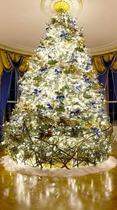 206K views · 1.3K reactions | In the Blue Room, renderings of the 57...