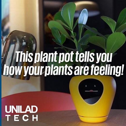263K views · 1.5K shares | This smart plant pot triggers 15 different animated emotions to tell you exactly how your plants are 'feeling' and what they need!  | UNILAD Tech | Facebook