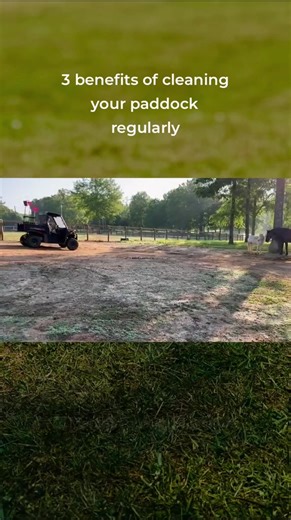 2.4K views · 11 reactions | Regular paddock cleaning keeps your animals healthier, your pasture in better shape, and pests at bay. With the Scoop'N'Tow, it’s easier than ever to stay on top of it – no heavy lifting required. #PaddockCare #ScoopNTow #HealthyPasture | Farm & Yard Products | Facebook
