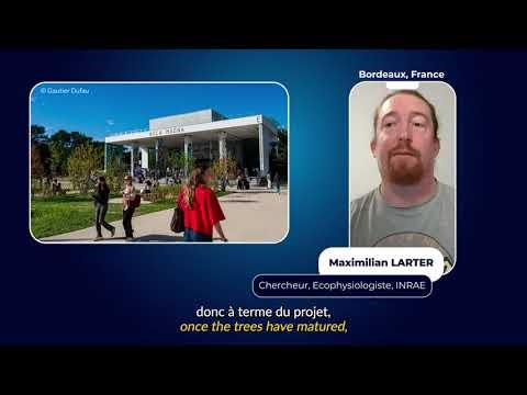 Végétation, Villes : les acteurs du SCO vous en parlent