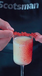 Scotsman Ice is used by leading bartenders to create their show stopping cocktails.🍸 Try this recipe for Island Pear Bliss, it truly is paradise in a glass. - Scotsman Gourmet Ice - 45 ml Havana 3 - 20 ml François Peyrot Pear Cognac - refreshing twist with 40 ml of Mango & Yogurt Syrup! Inspire your drinks with the perfect ice for your cocktails Scotsman Ice 🧊 credit: @scotsman_ice #bartending #mixology #scotsmanice #scotsmanicemachine | Moffat