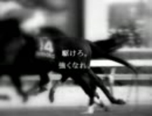 2011 JRA CM MAD 有馬記念 シルクジャスティス