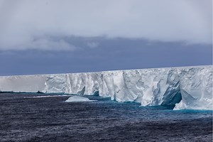 World’s Largest Iceberg on Course to Hit Penguin-Packed Island