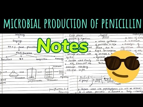 Microbial Production of penicillin||Notes 😎🤩🤩