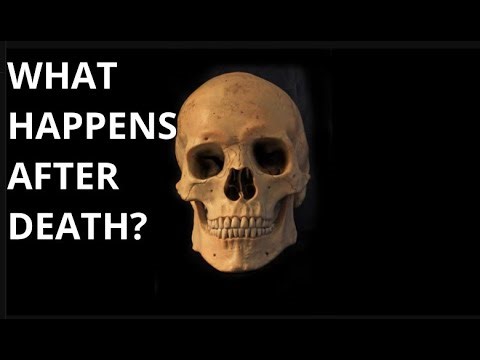 Active Decay to Skeletonization What Happens After the Body Collapses