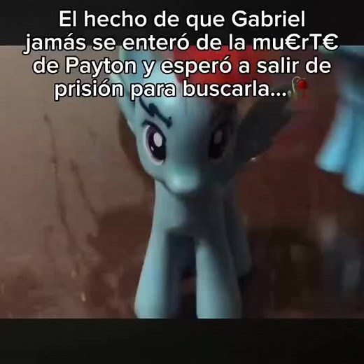 ¿Rose 🌸? . #fyp #mlptoys #parati #harley #youtubeera #harleyyoutube #mlp #mylittlepony #rainbowblitz #rose #harleyrose #unapequeñahistoriadeamor #brony #ponys #seriemlp