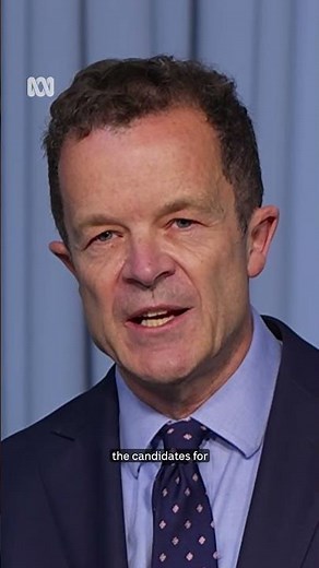 NSW Liberal leader Mark Speakman steps down, endorses Kellie Sloane | ABC News