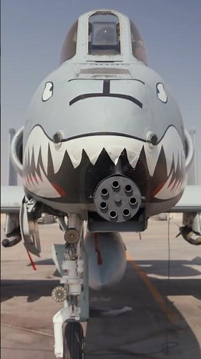 How Crew Chiefs Prepare an A 10 Warthog for Takeoff !
