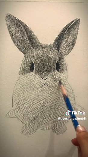 How to Draw a Rabbit | Pencil Drawing Tutorial