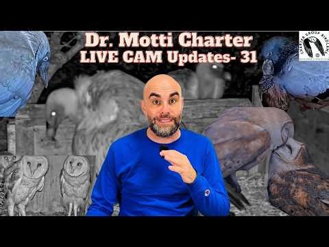 Dr. Motti Charter – Update 31 from Our Live Wildlife Cameras