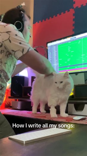 Random Encounters on Instagram: "New Random Encounters REwind is live. Mr. Meowse helped. #randomencounters"