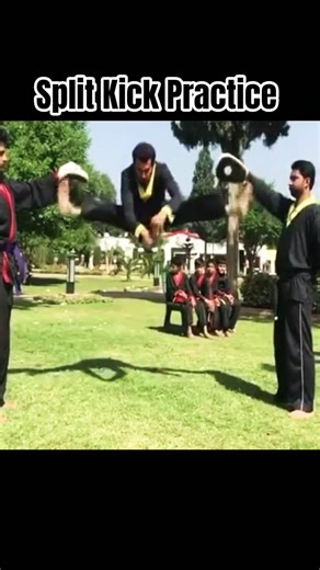 Split Kick Practice #martialarts #kempo #fightback #mma #selfdifence #kungfu #taekwondo #splitkick