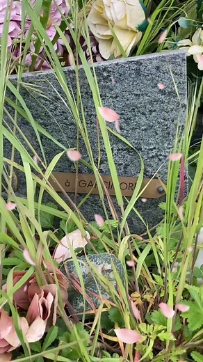 José García Moreno, dit Garcimore, né le 16 novembre 1940 à Elche de la Sierra (Castille-La Manche, Espagne) et mort le 18 avril 2000 au Gué-de-Longroi (Eure-et-Loir, France), est un illusionniste, humoriste et music | Dr.Sofiya