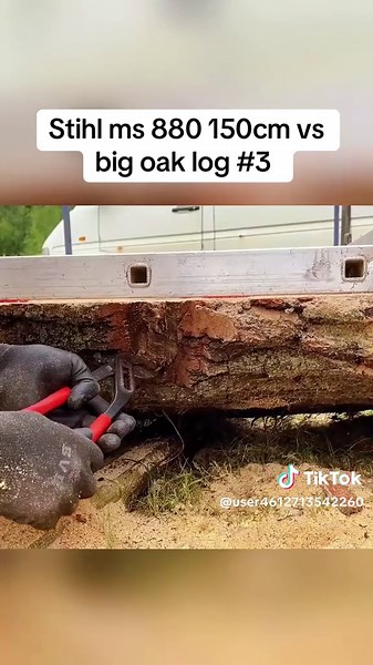 Stihl ms 880 150cm vs big oak log #3 #stihl #big #oak #log
