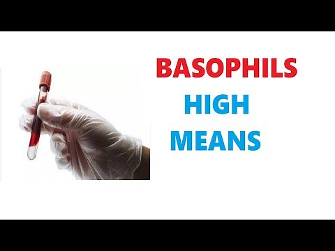 BASOPHILS HIGH IN BLOOD TEST MEANS !
