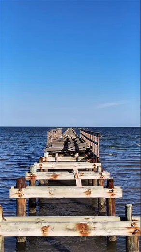 32 reactions | Chasing the sun ☀️ | Hoang Vinh | Facebook