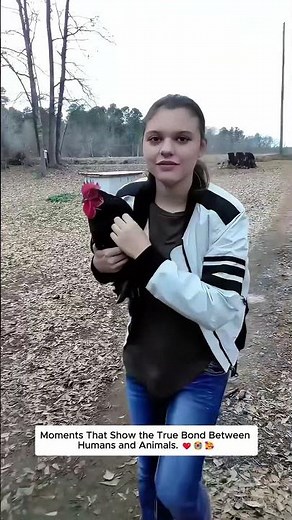Heartfelt Moments Between Humans and Animals.