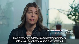 Dr. Erica Ollmann Saphire on how cryo-EM is advancing her virus research - Scientific Videos | Thermo Fisher Scientific US