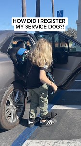 101K views · 3.4K reactions | #ServiceDog #Dog #Dogs #BlackLab #ADA #Disability #Disabled #Wheelchair #WheelchairUser #Prosthesis #Prosthetic #Educating #Education | Cassidy Huff | Facebook