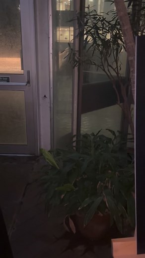 13K views · 119 reactions | Spotted at the Download Festival launch party… The 2025 Rock Sound Awards Issue. Magazine covers revealed Tuesday November 04 - Friday November 07. | Rock Sound | Facebook