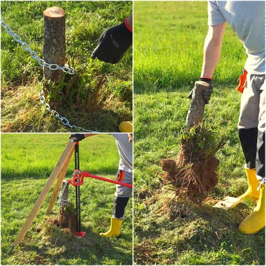 1.3M views · 4.7K reactions | Remove tree stump with hi lift jack | MetDaan DIY | Facebook