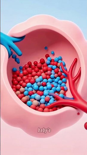 Do Babies Breathe Before Birth? 🤔 Oxygen in Womb Explained