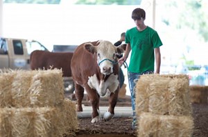 ‘A Little Something for Everyone’ at NJ State Fair