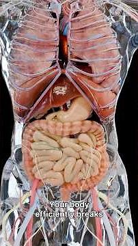 What You Need to Know About Eating Meat: A Scientific Breakdown 🍖