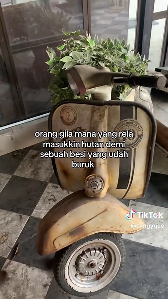 Exploring the Forest: Journey of a Brave Individual