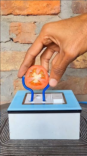 What Happens When You Put 240V Through a Tomato? | Extreme Experiment