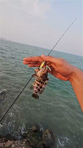 Caught a Strange fish in fish line🐟🎣 #sittingonthedockofthebay