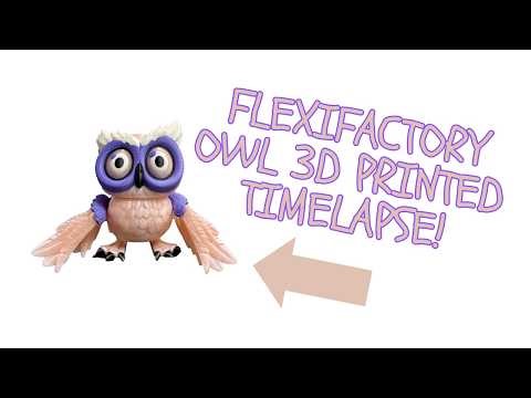 FlexiFactory Owl 3D Print Timelapse