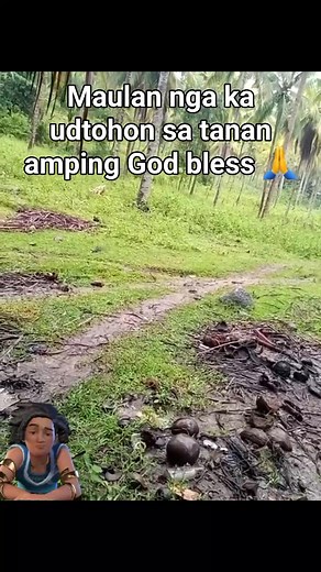 11 reactions | #maulan | Dave Yañez | Facebook