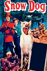 Snow Dog (1950) - Movie