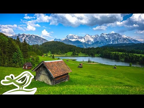 Beautiful Piano Radio 🎹 Relaxing Music for Sleep, Studying & Relaxation 24/7