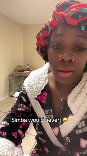 Effective Dog Training Techniques for Pitbulls