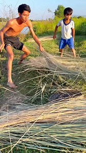 12K views · 31 reactions | Wow Python Snake #snakes #snake #python #reelschallenge #fypviralシ #fyp #fypシviralシ2024 #fypシ゚viralシfypシ゚ #fypシ゚viralシ2024fyp #reels #reelschallenge #reelstrending #reelsfacebook #reelsfbシ | Snake TV | Facebook