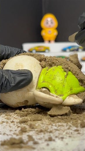 Satisfying Dirty Swimming Turtle ASMR & Cleaning! 🐢🧼 Dirty to Shiny