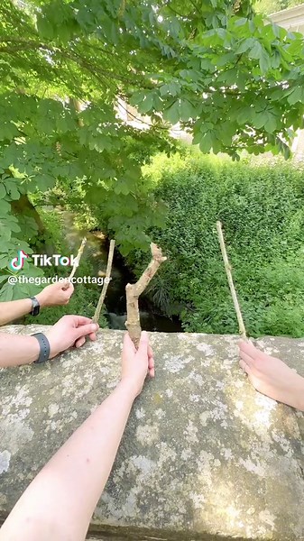 The Joy of Playing Pooh Sticks in the English Countryside